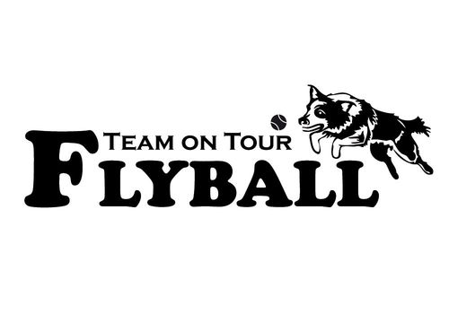 Aufkleber - Flyball Team on Tour (50x15cm)